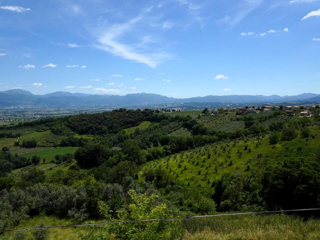 Blick von Montefalco (2025)