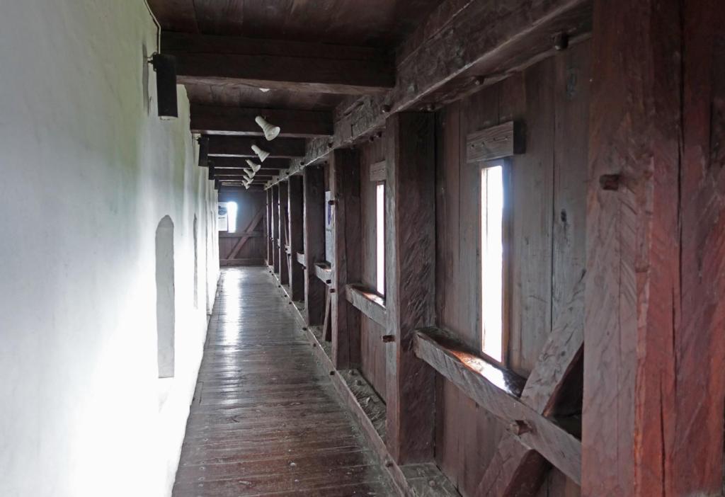 Narwa [estn. Narva]: Hermannsfeste Langer Hermann (2025)