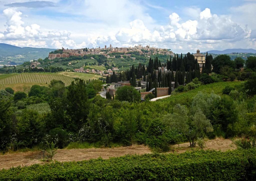 Blick auf Orvieto (2025)