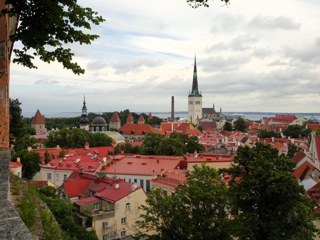 Reval [estn. Tallinn]: Blick vom Domberg nach Norden [hinten Olaikirche] (2025)