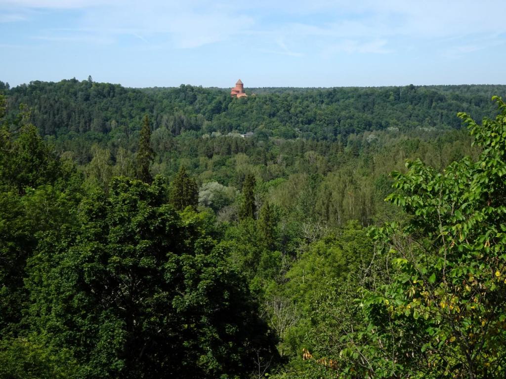 Treyden [lett. Turaida]: Blick zur Burg (2025)