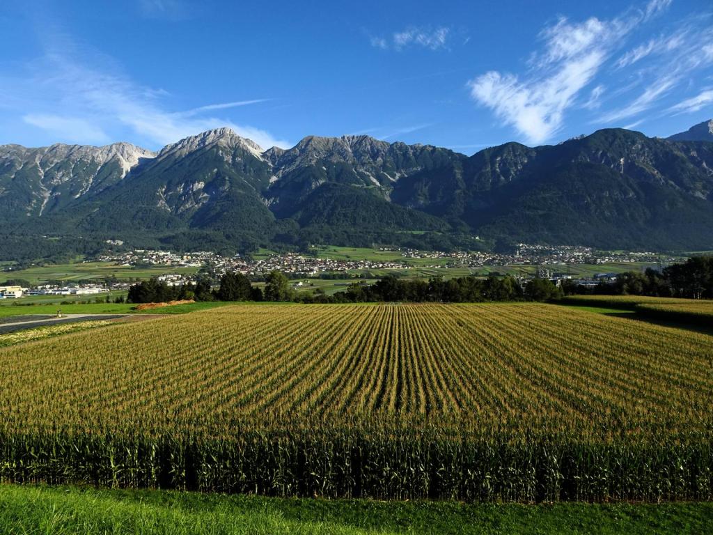 Hall: Blick von Ampass auf das Inntal und das Karwendelgebirge (2025)