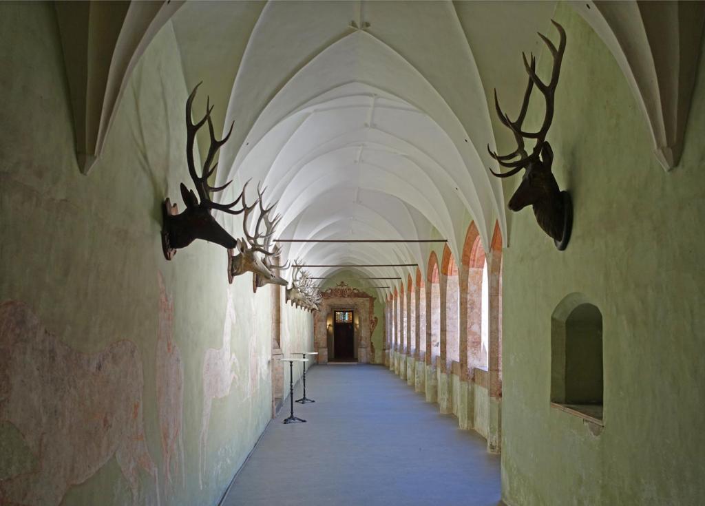 Schloss Tratzberg: Arkadengang (2025)