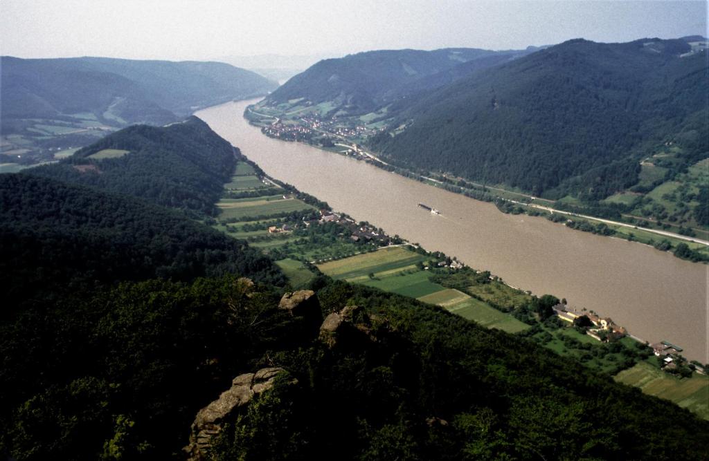 Ruine Aggstein: Blick donauaufwärts (1987)