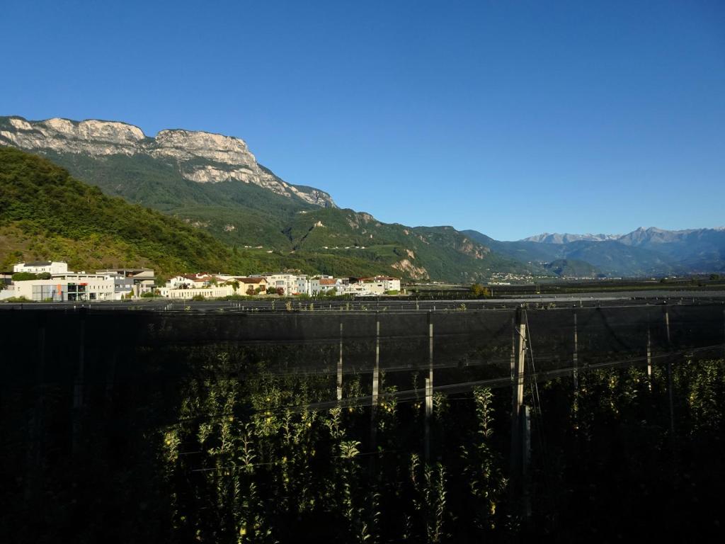 Mendelkamm mit Burg Hocheppan und Kreideturm (2025)