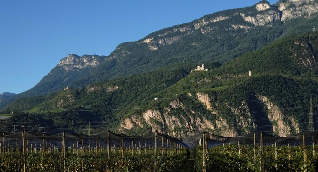 Burg Hocheppan unter dem Mendelkamm [Teil der Nonsberggruppe] (2025)