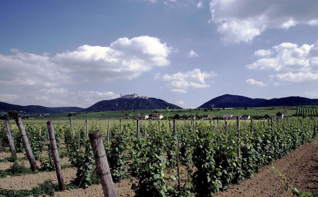 Göttweig: Blick zum Stift (1987)