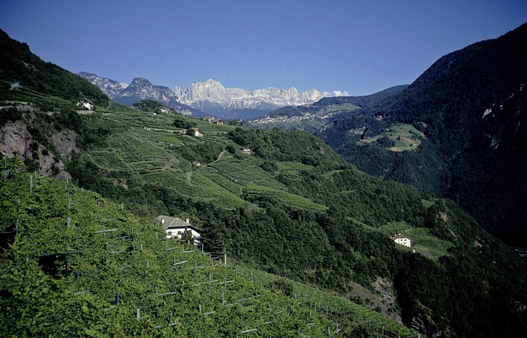Blick über das Eisacktal zum Rosengarten (1988)