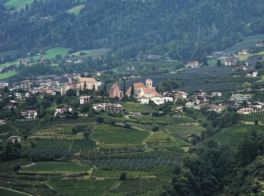 Blick auf Schenna (2025)