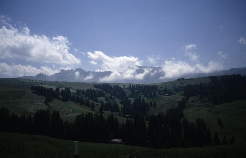 Seiseralm mit Blick zur Roterdspitze (1988)