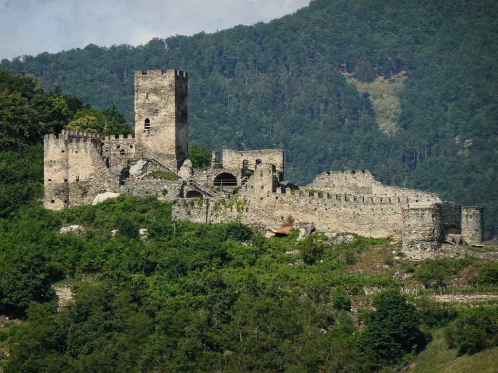 Spitz: Burgruine Hinterhaus (2024)