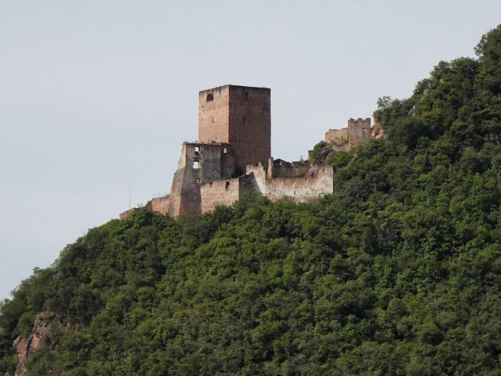 Burg Neuhaus [Maultasch] bei Terlan (2025)