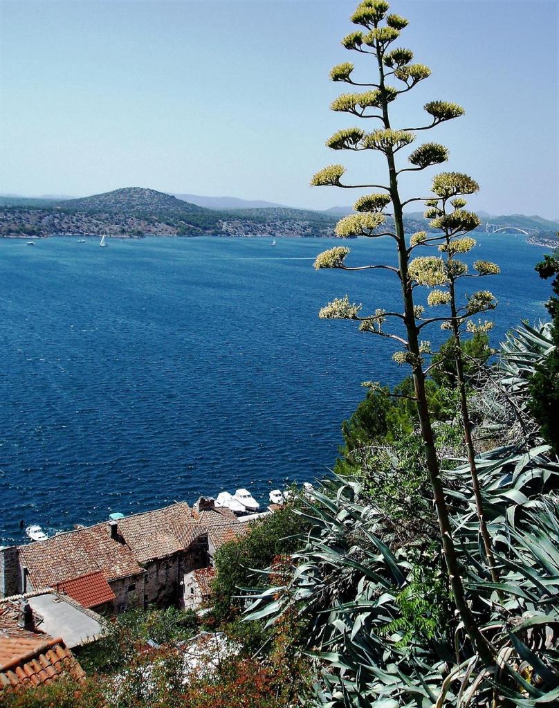 Sibenik: Blick auf die Krka (2016)