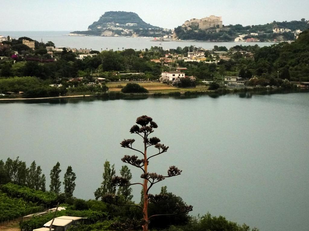 Averner See und Blick nach Miseno und Baia (2026)