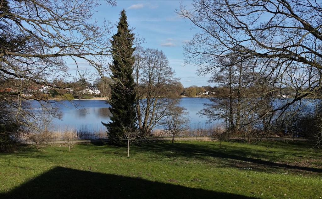 Bordesholm: See (2022)