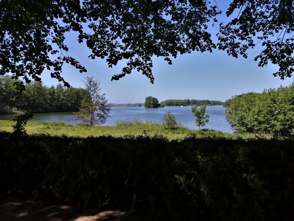 Bosau: Großer Plöner See (2023)