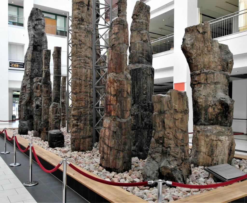 Chemnitz: Versteinerter Wald [im Lichthof Das TIETZ] (2020)