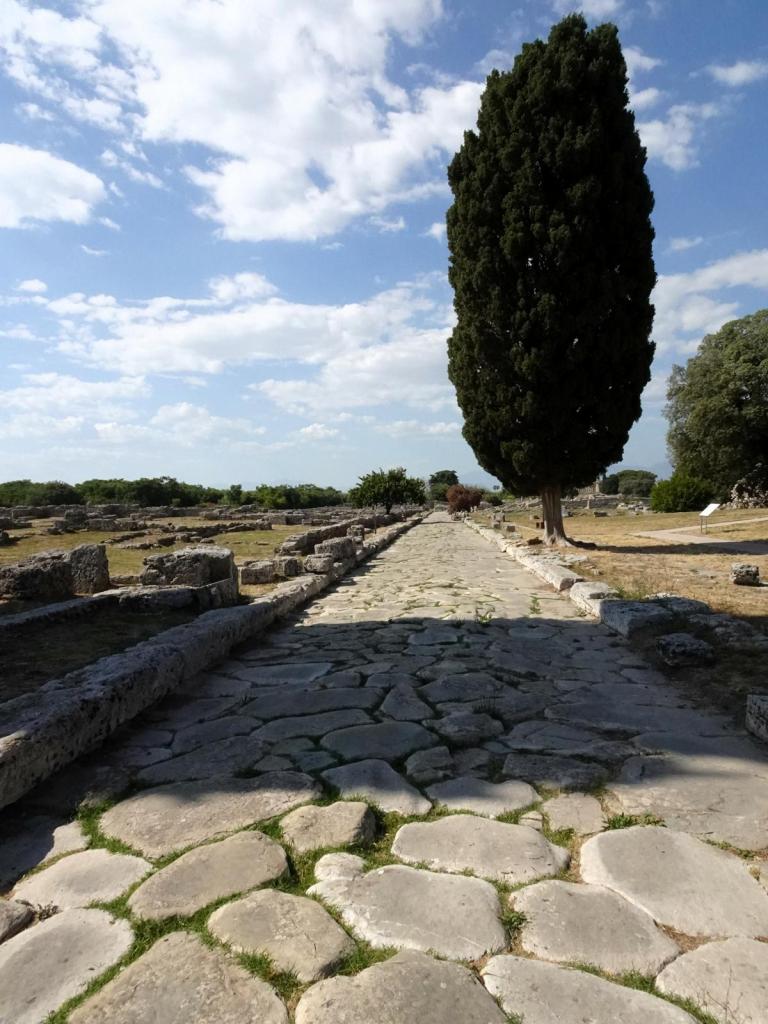 Paestum: Via Sacra (2026)