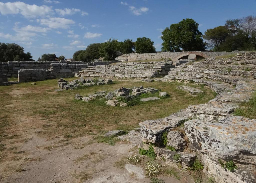 Paestum: Comitium (2026)