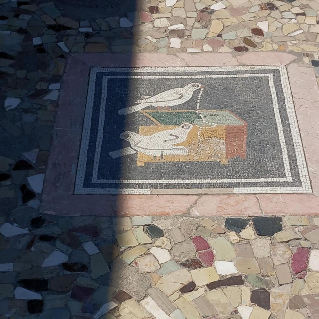 Pompeji: Haus des Fauns Taubenmosaik [Kopie] (2026)