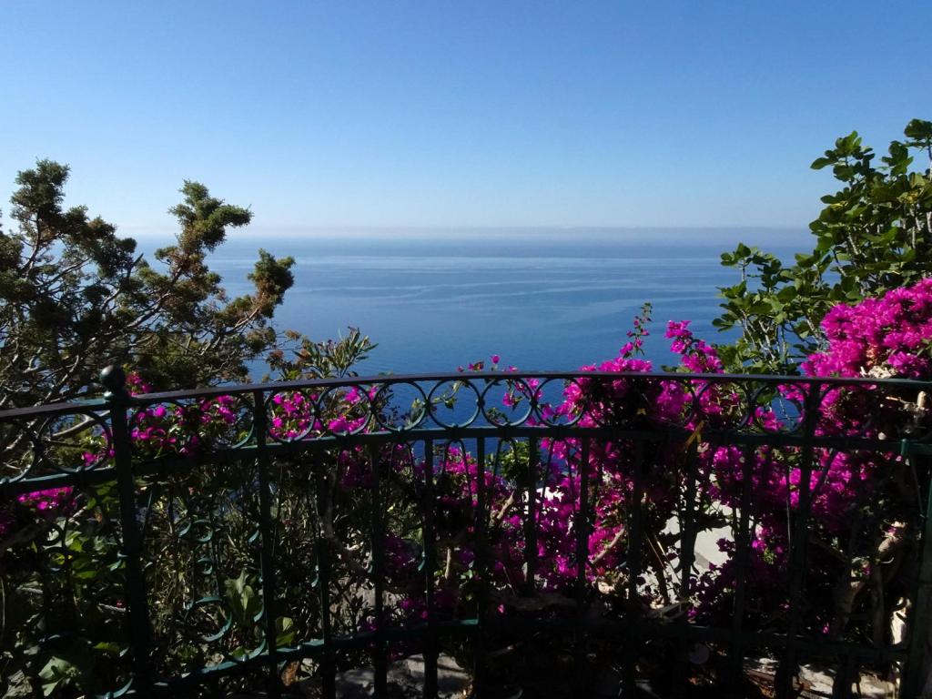 Positano (2026)