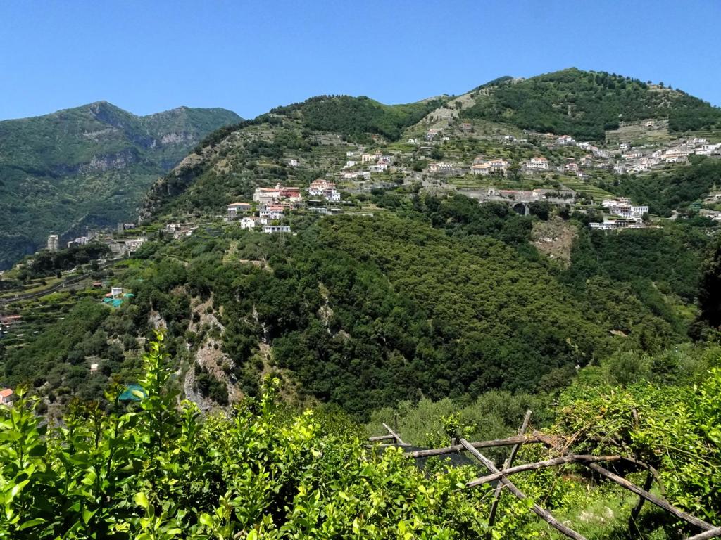 Ravello (2026)