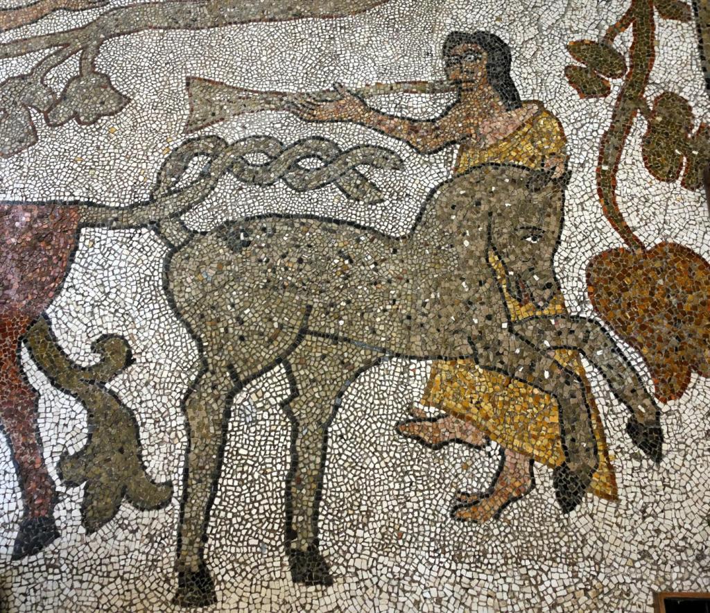 Otranto: Kathedrale Mosaikfußboden (2026)