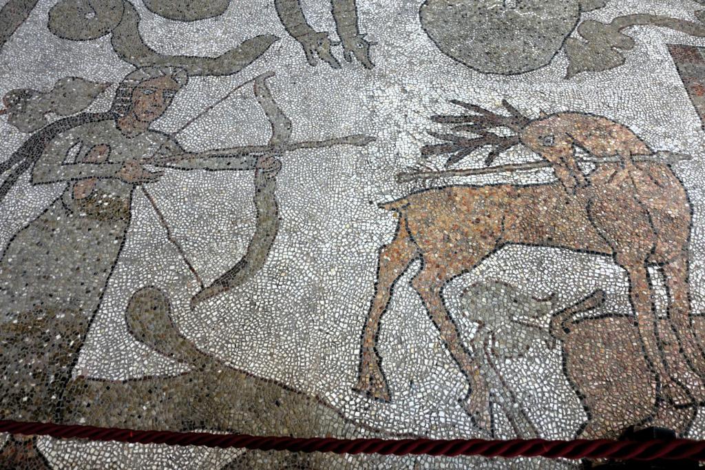 Otranto: Kathedrale Mosaikfußboden (2026)