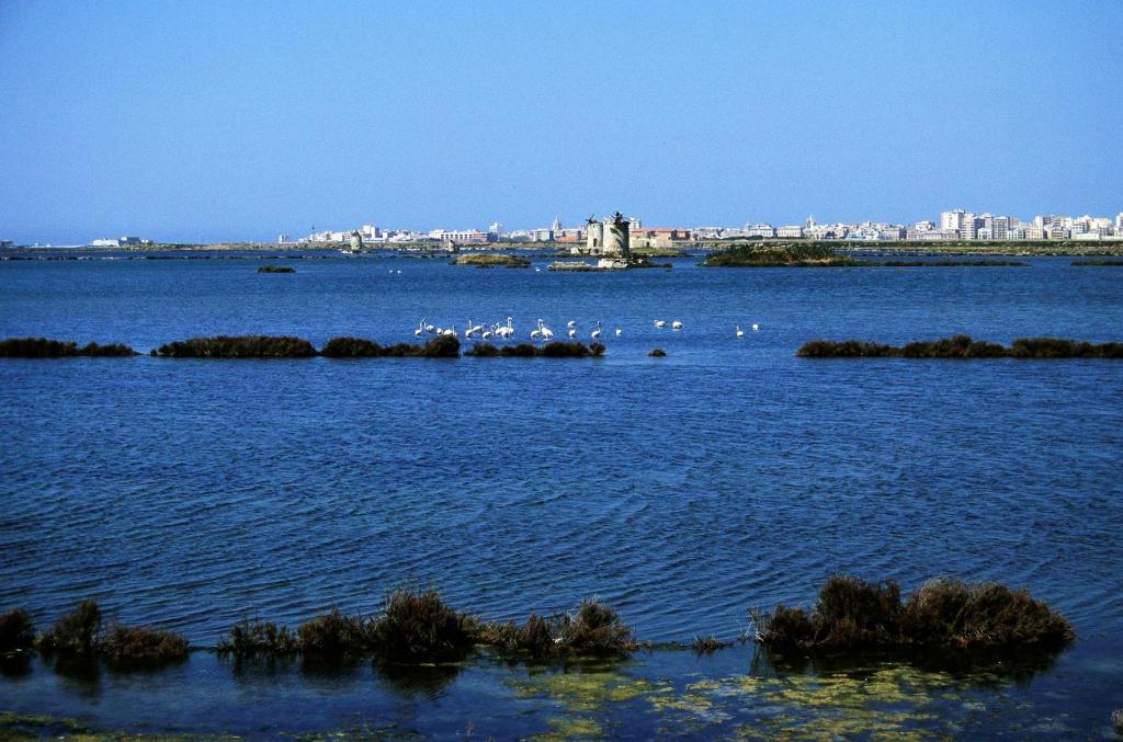 Trapani: Blick über die Salinen (1999)