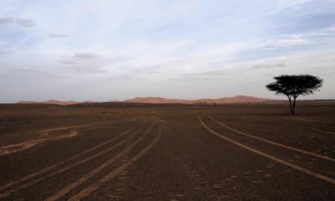 Blick zum Erg Chebbi (2026)