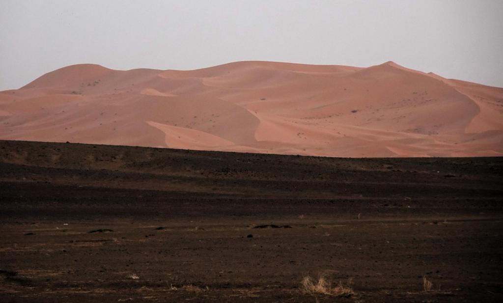 Erg Chebbi (2026)