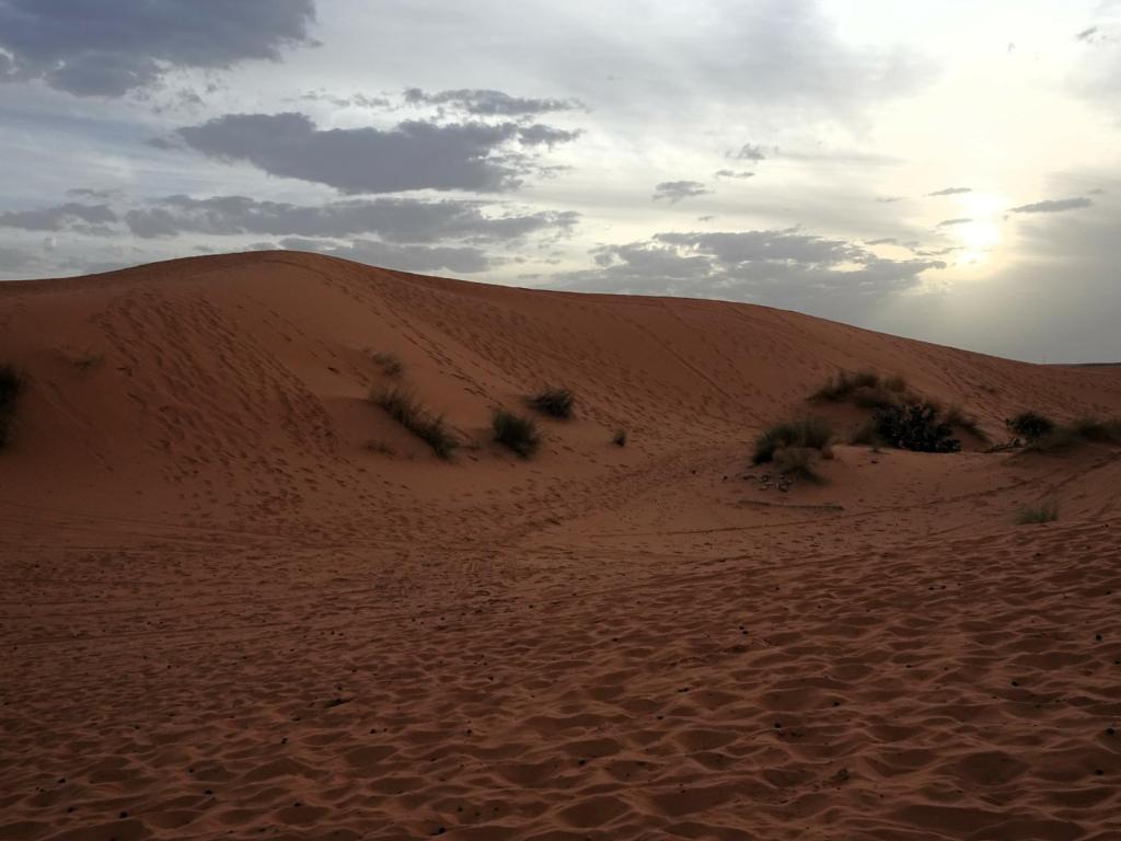 Erg Chebbi (2026)