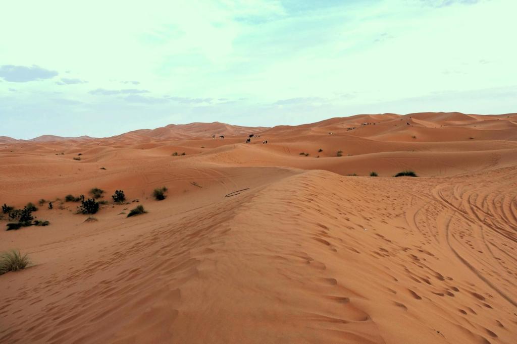 Erg Chebbi (2026)