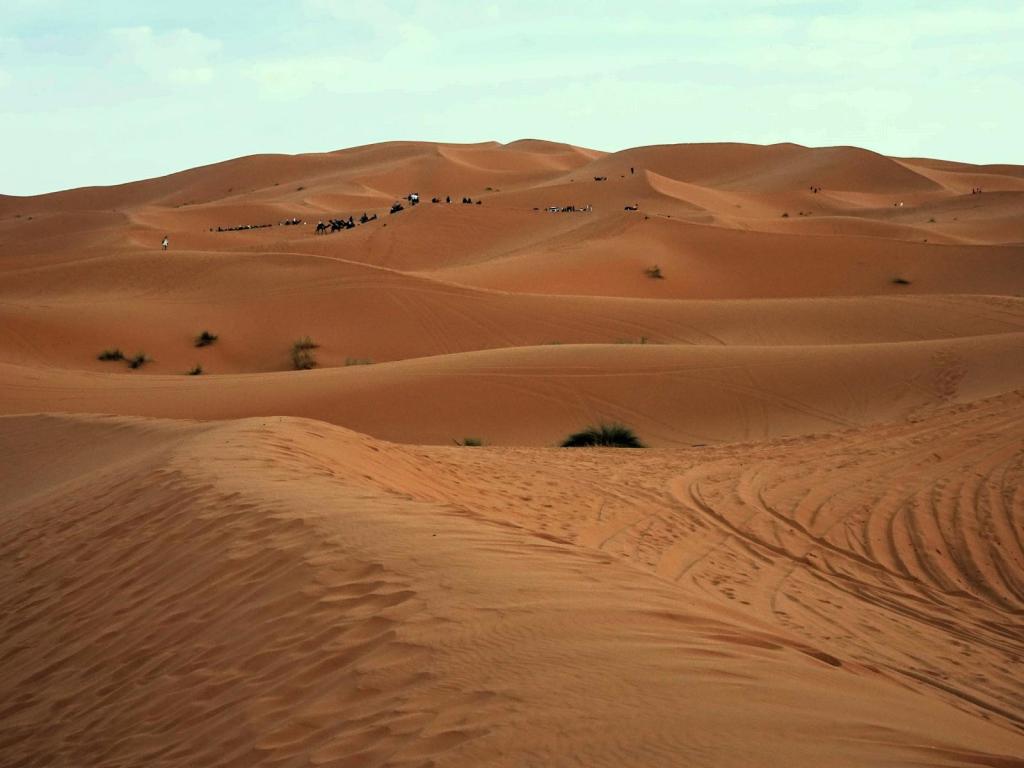Erg Chebbi (2026)