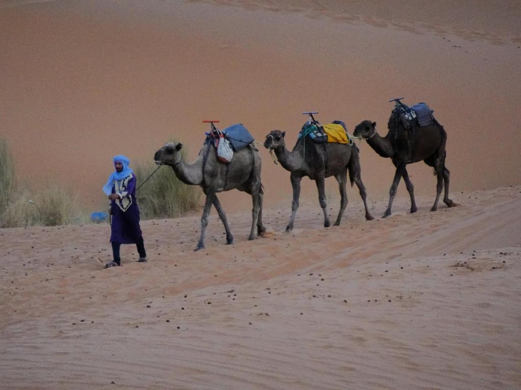 Erg Chebbi (2026)