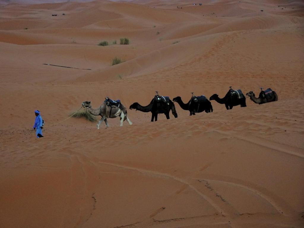 Erg Chebbi (2026)