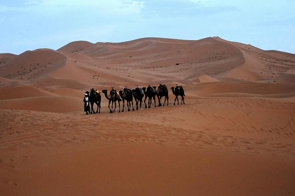 Erg Chebbi (2026)