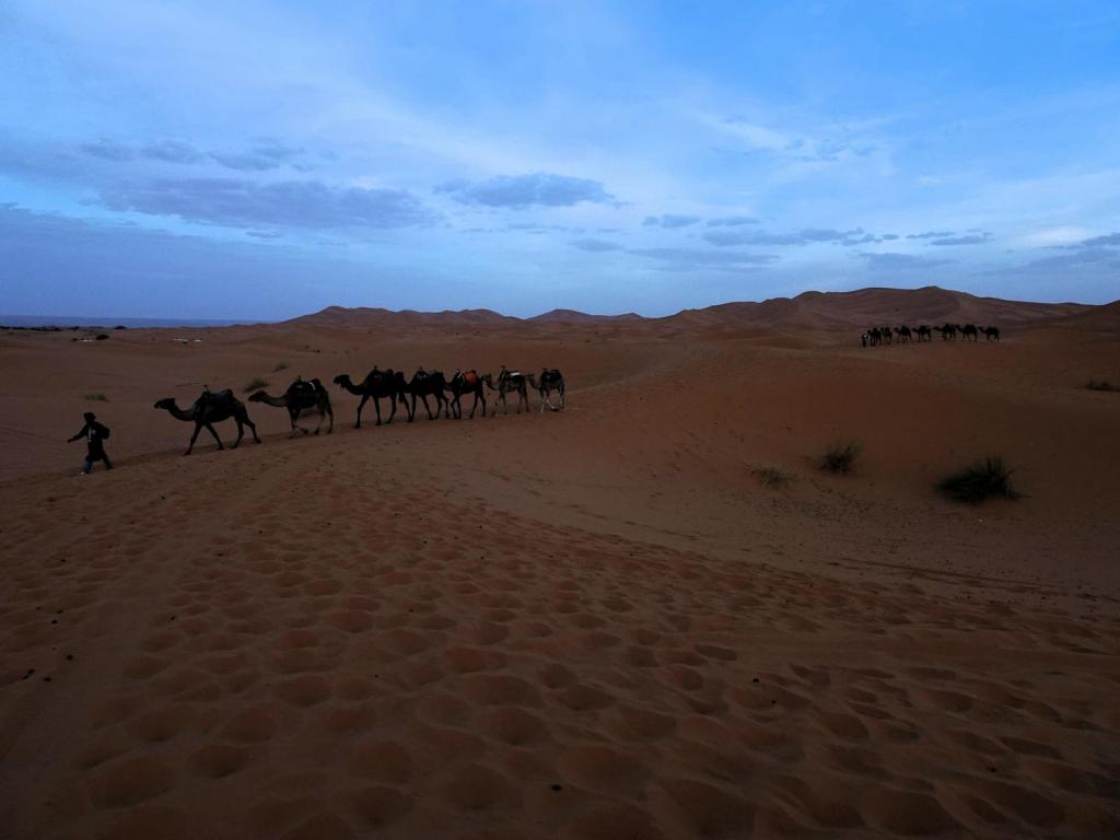 Erg Chebbi (2026)
