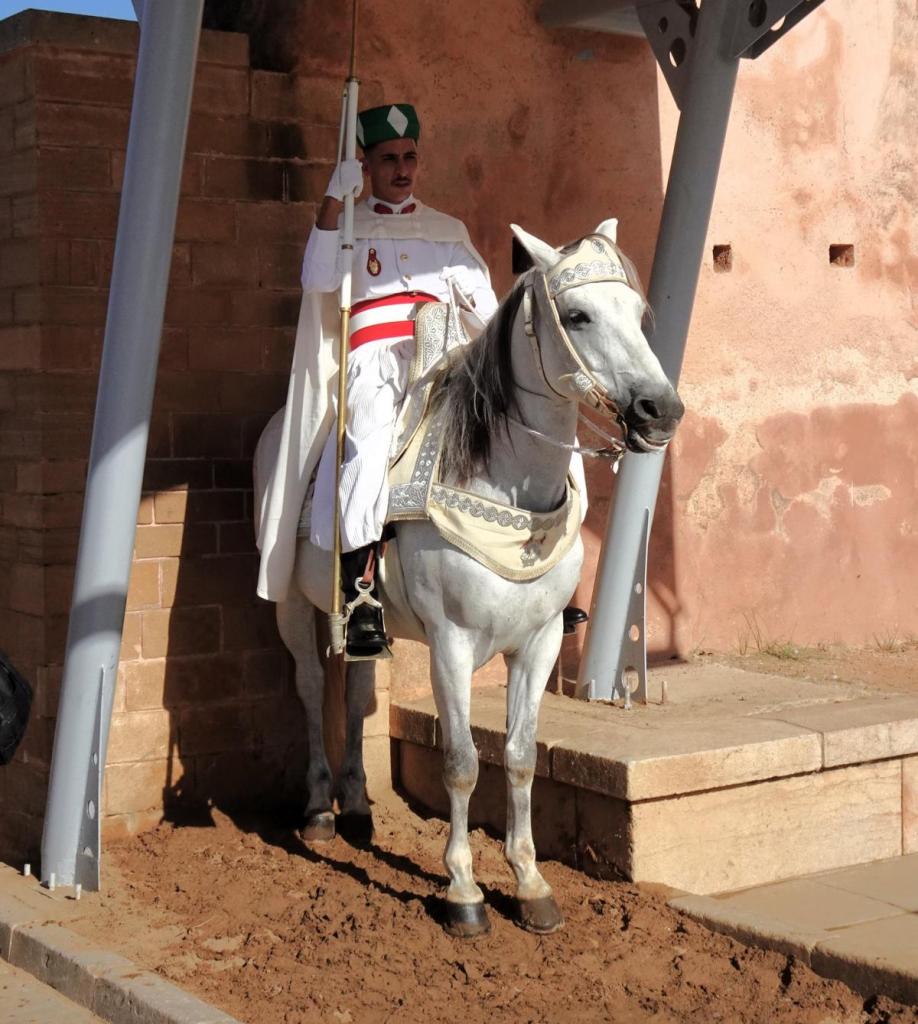 Rabat: Wache am Eingang der [unvollendeten] Hassan-Moschee (2026)