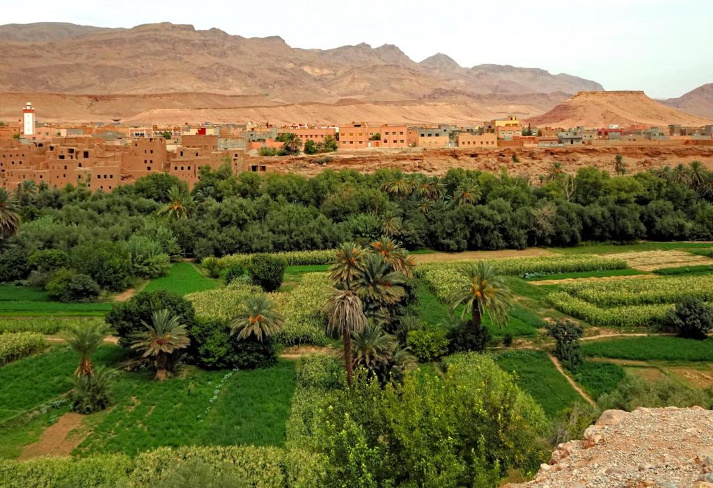 Tinerhir (Tinghir) (2026)
